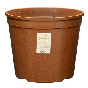 y Aؔ 10zGrower5G (O[5G) / ecoforms (GRtH[Y)yOE킢z