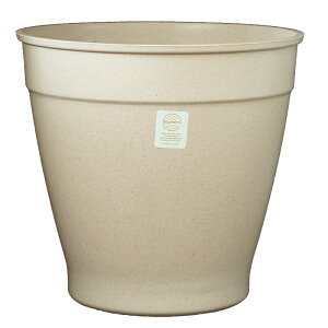 y Aؔ 10 ^zNova12 (mo12) / ecoforms (GRtH[Y) yEOE킢z