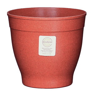 y Aؔ 6zNova6 (mo6) / ecoforms (GRtH[Y)yEOE킢z