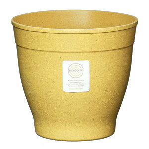 y Aؔ 5zNova5 (mo5) / ecoforms (GRtH[Y)yEOE킢z