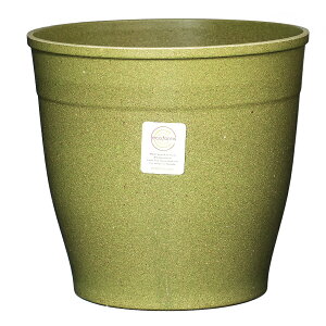 �y������� �A�ؔ� 7���zNova7 (�m�o7) / ecoforms (�G�R�t�H�[���Y)�y�����E���O�E���킢���z