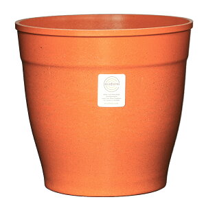 y Aؔ 7zNova7 (mo7) / ecoforms (GRtH[Y)yEOE킢z