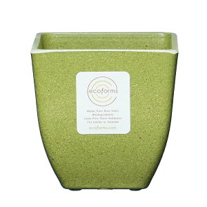 y Aؔ XNGAzQuadra pot (NAh1) / ecoforms (GRtH[Y)yEOE킢z