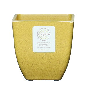 y Aؔ XNGAzQuadra pot (NAh1) / ecoforms (GRtH[Y)yEOE킢z