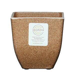 y Aؔ XNGAzQuadra pot (NAh1) / ecoforms (GRtH[Y)yEOE킢z