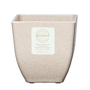 y Aؔ XNGAzQuadra pot (NAh1) / ecoforms (GRtH[Y)yEOE킢z