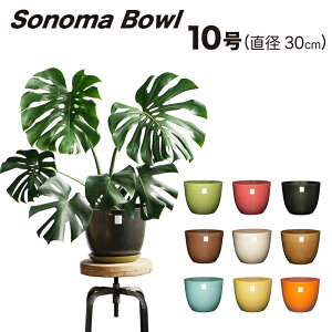 y Aؔ 10 ^zSonoma Bowl (\m}{[) / ecoforms (GRtH[Y)yEOE킢z