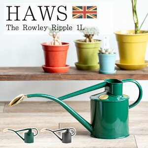 y傤  z^ ChAJ Rowley Ripple 1L HAWS z[Y
