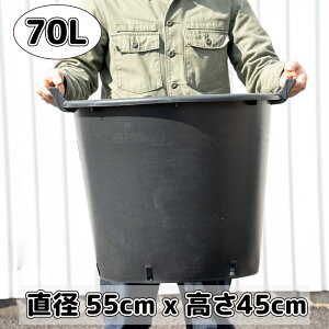 y Aؔ ^ C^Az55cm 70L nht i[Z[|bg