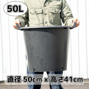y Aؔ ^ C^Az50cm 50L nht i[Z[|bg