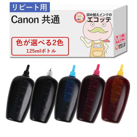 【リピーター向け】 Canon キャノン 用 純正用詰め替えインク (リピート用) 色が選べる 125ml×2個セット ┃ PIXUS ピクサス TS3530 ip2700 TS3330 TS5430 TS3130S TS5130S TS3730
