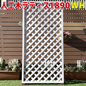 lH؃eBXtFX1890zCgy ډB DIY K[fjO z -@JAN1211