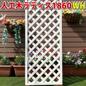 lH؃eBXtFX1860zCgy ډB DIY K[fjO z -@JAN1228