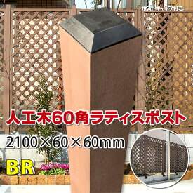 楽天市場 ラティス 支柱の通販
