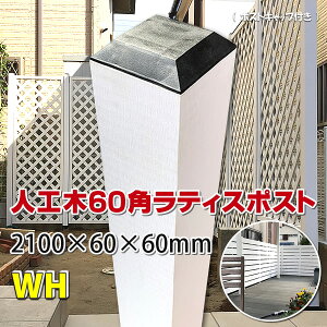 lH؃eBXp|Xgij 2100 zCgy DIY eBXx eBX z -@JAN1655
