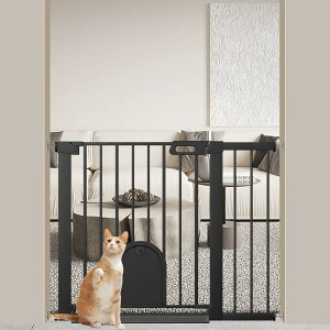Fairy Baby xr[Q[g ybghAt L  Q[g 76cm xr[tFX ˂莮 _ubN  J ԂQ[g xr[K[h  Ki gt[t t96-