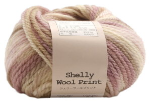 A(Motohiro) XL[ ҂ݖю VF[E[vg (5ʃZbg) Col.4002