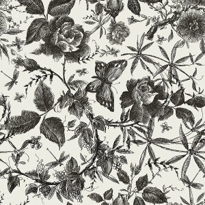 Juangfia ǎV[ ԕ  ǎ h CNV[g Lb` ǎV[g JbeBOV[g tH[V[g DIY EH[ XebJ[ 5m ubN