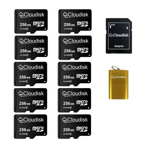 Cloudisk Micro SDJ[h256 MB (10Zbg) 256 GBł͂܂ eʃJ[h NX4 SDA_v^ J[h[_ (256MB)