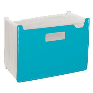 ZLZC psG hLgX^h Ch 25P u[ FB-2382