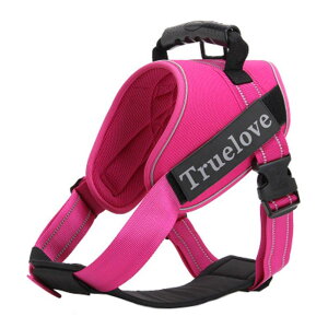 IKENOKOIpn[lX p 3Mˍޗ ʋC ߉\ U o ^A^A^Ɍi[Ybh XL 71-96cmj