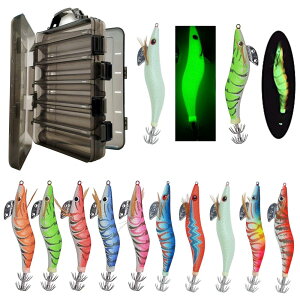 GMA[ GMOނ CJނ GMZbg CJ ^R GMA[ A[P[Xt 10F 10{Zbg 3.0