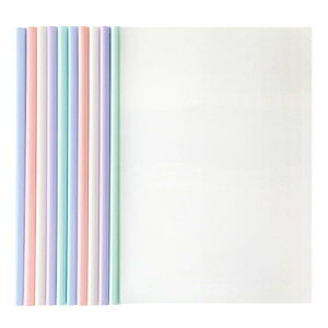 SANJAOYEE ク リアファイル収納ホルダー 大容量 セット A4 レールファイル レール スライド ファイル スライドバー フォルダー ク リア 混色 透明 10冊 1.0cm幅 ビジネス フォルダー 会議 オフ ィス