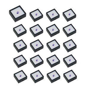 GOODCHI [XP[X Δ 20Zbg t vP[X 3cm WG[P[X  (+)