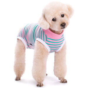 KUVEELA PET p㕞  L p㕞 pEFA pJo[ ی앞 앞 D  ی 畆a ^ ^isN{O[ XSj