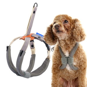 CROWN KONIpn[lX h~ ɒȂ ȒPE P݌y NCbNvTCY ^^p s⏕p p Up \tgŉKȃNbVt (O[, STC