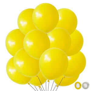 BTZO o[ SD t 50 12C` ەD ebNXo[ t a  Xܑ p[eB[ ^  o[A[g CG [