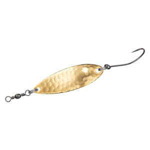 _C(DAIWA) Xv[ NZC_[ Ac 10 HG