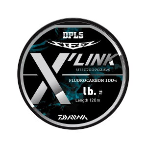_C(DAIWA) XeB[Y t NXN 120m 6lb(#1.5) i`