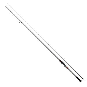_C(DAIWA) 21 G_X XgCXg RT 76MMH
