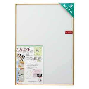 \tP A~z XGCg WO\[pY500s[X380X530 S[h yWO\[pYz yʂōiZbgȒPȃWO\[pYt[z