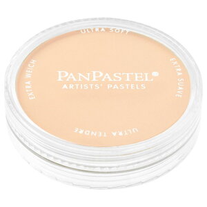 �p���p�X�e�� �I�����W �e�B���g 22808