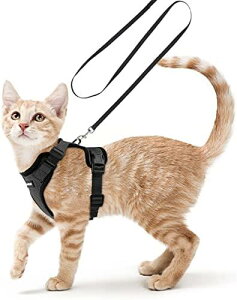 Rabbitgoo 猫 ハーネス リード セット 小型犬 犬猫兼用 抜けない はーねす ソフト胸あて 軽量 足を上げず装着完成 サイズ調節可 ネコ 散歩 紐 夜反射 通気メッシュ 咳込み防止 胴輪 ベスト りー