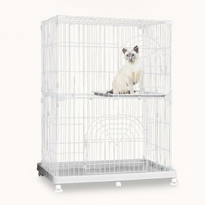 ACXI[} IWiybgP[W 2i zCg L 2izCg