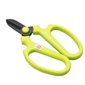 ⌹(Sakagen)  nhNG[V F170 tbfR[eBO 17×11cm { CO[ 62142