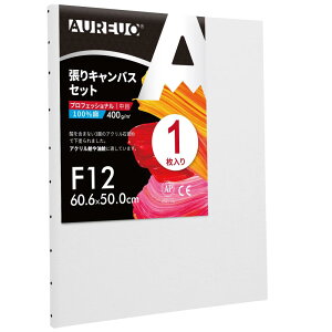 AUREUO 張りキャンバス セット F12 (60.6cmX50cm) 中目 全麻 1枚 リネン 専門の絵画用具 芸術絵創作 現代油絵 美術装飾 水彩画・油絵画・アクリル兼用