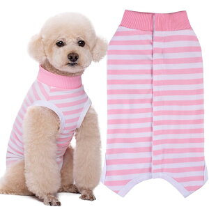 KUVEELA PET p㕞  L p㕞 pEFA pJo[ ی앞 앞 D  ی 畆a ^ ^isN{zCg Sj