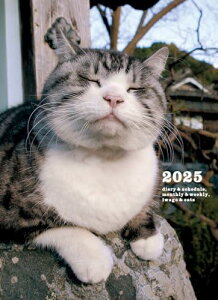 2025 ⍇ ˂蒠