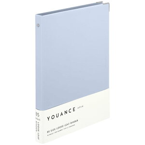 }} [Y[t oC_[ AX B5 26 u[O[ F119-41