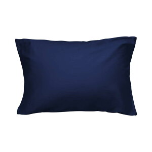 Jo[ 100 TeD 300{xn h_j R hL zei  炩 _炩 s[P[X Iׂ9F 4TCY n lCr[ 43×63cm