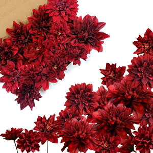 OrgMemory  o lHA ϏܐA CeA a v[g  DIY p[eB[ Be p z[ 뉀 i _Aj