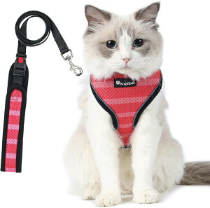 L Lp n[lX  L ˂ lR qL q ^ U o Ȃ xXg \tg y ʂ}WbNe[vő TCY߉ 锽 ʋCbV (MTCY (x 1)