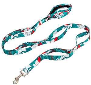 cocomall Zӏnhp[h ^A^A^p[h P[h O[h ybgpi n[lX 3Mˍޗ iC ʋC ߉\ bVybg(bluered,S)