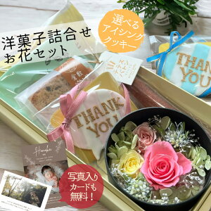  j Mtg Ăَq XC[c lߍ킹 vU[uht[ Zbg ThankYouRose   v[g ԂƃXC[c  30 40 50  mَq XC[cMtg 