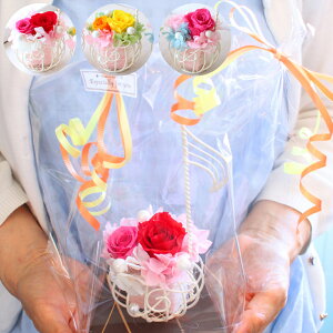   gL vU[uht[ AW ԉ 2Rose 2ւ̃o  ty sAm \ t y   Mtg v[g 搶    CeA  