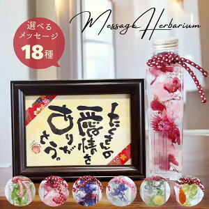 yEzMbZ[W a n[oE ސEj җj Ê  P Ď j 5~ Mtg 蕨 肪Ƃ  hV̓ bZ[W v[g a 